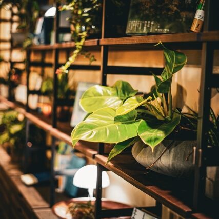 おしゃれな空間作りのインテイリアも販売しています。